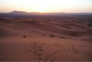 Desert Photography Guide: Capturing the Perfect Saharan Light
