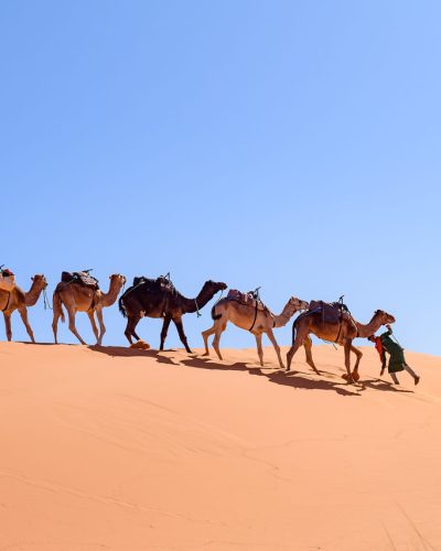 sejours-itrane-sahara